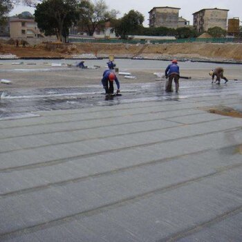 湛江雷州化工儲罐防腐施工工程