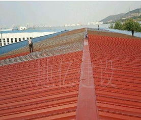 彩鋼瓦屋面防腐翻新 丙烯酸防腐工業(yè)廠房屋面施工工程地億建設(shè)